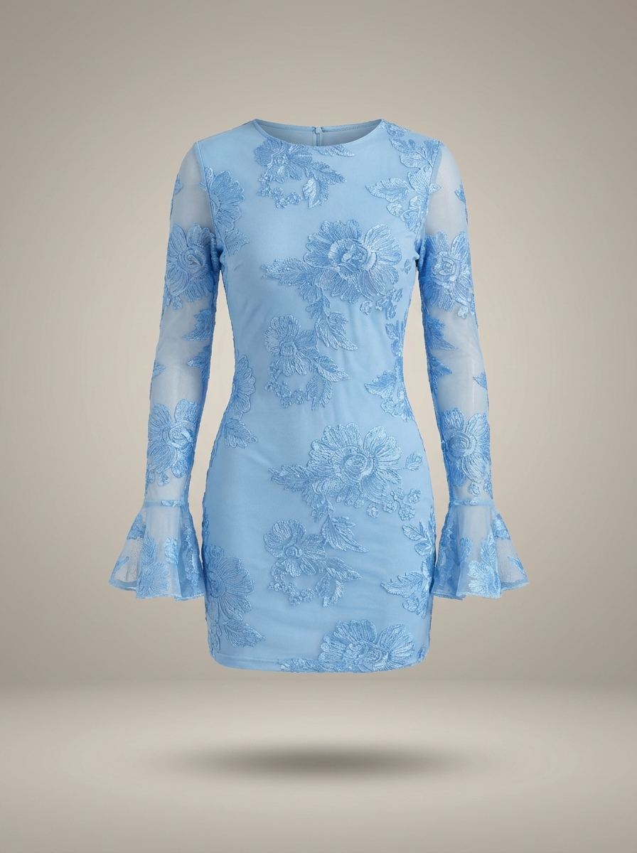 Vivienne | Embroidered Mesh Sleeve Mini Dress