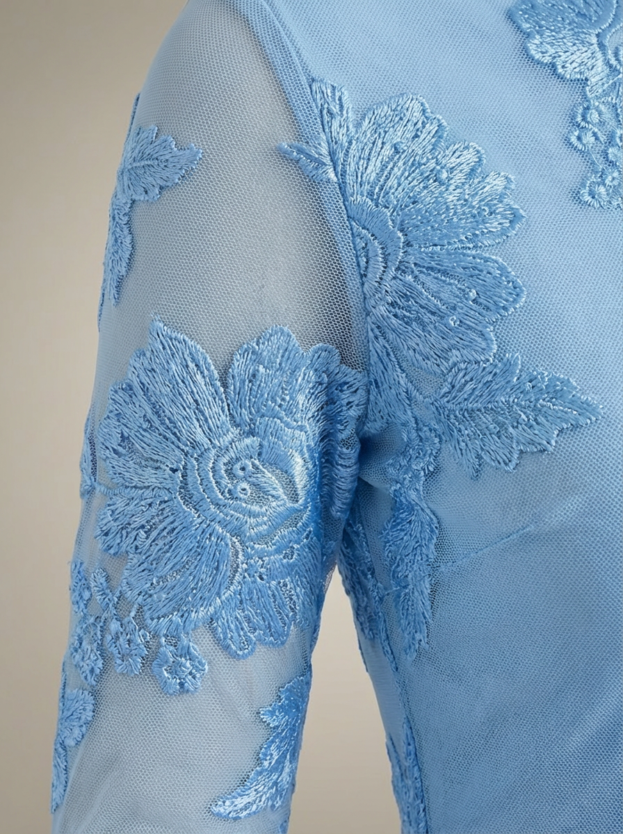 Vivienne | Embroidered Mesh Sleeve Mini Dress