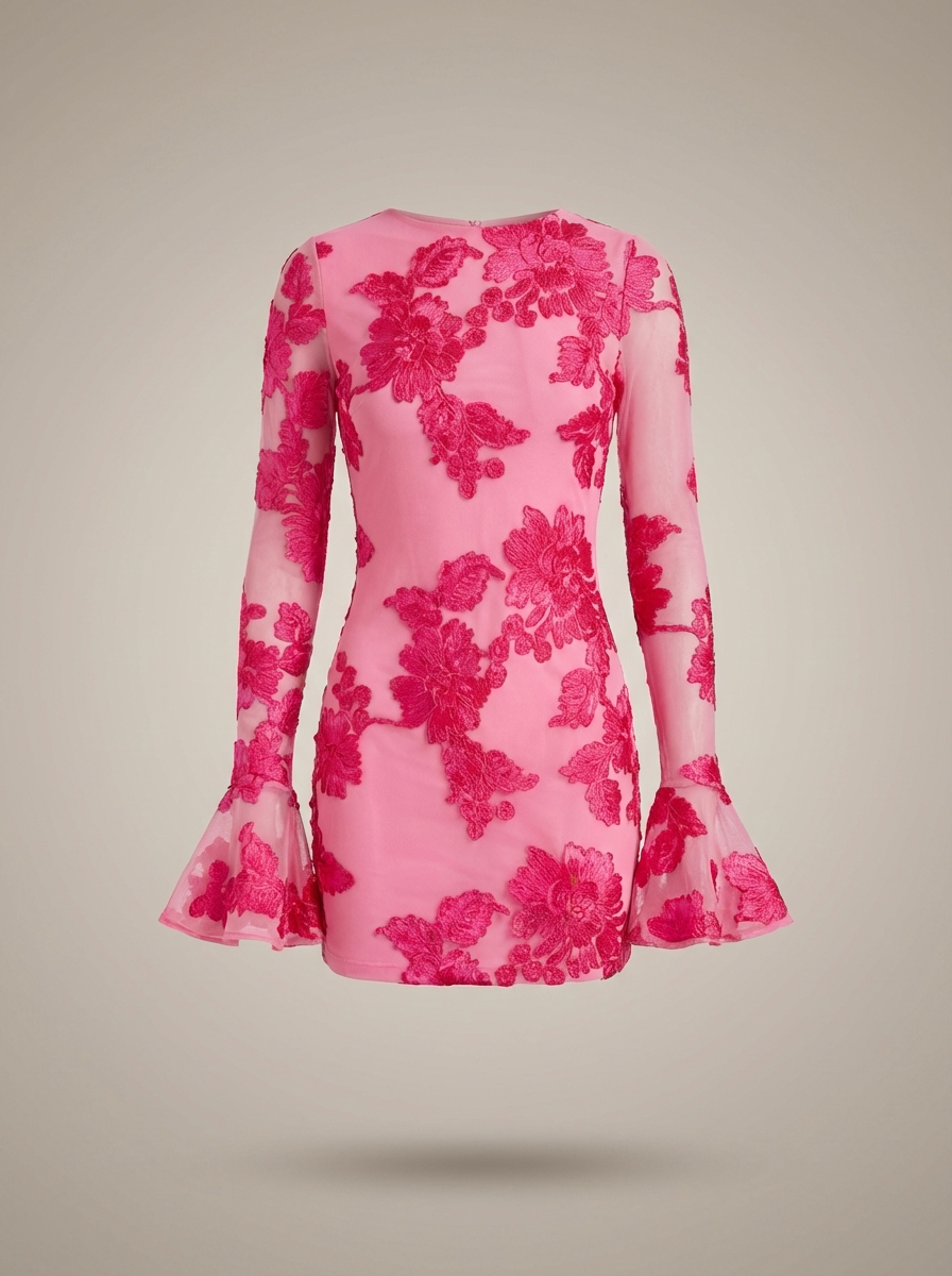 Vivienne | Embroidered Mesh Sleeve Mini Dress