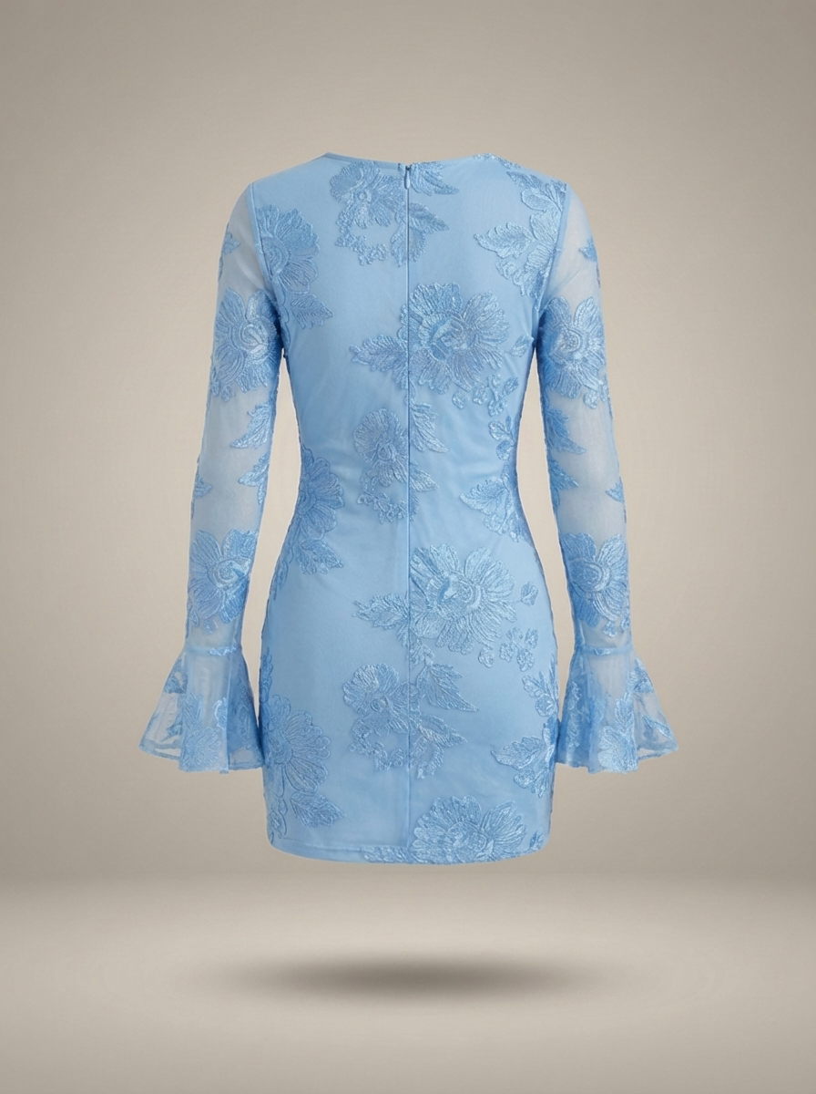 Vivienne | Embroidered Mesh Sleeve Mini Dress