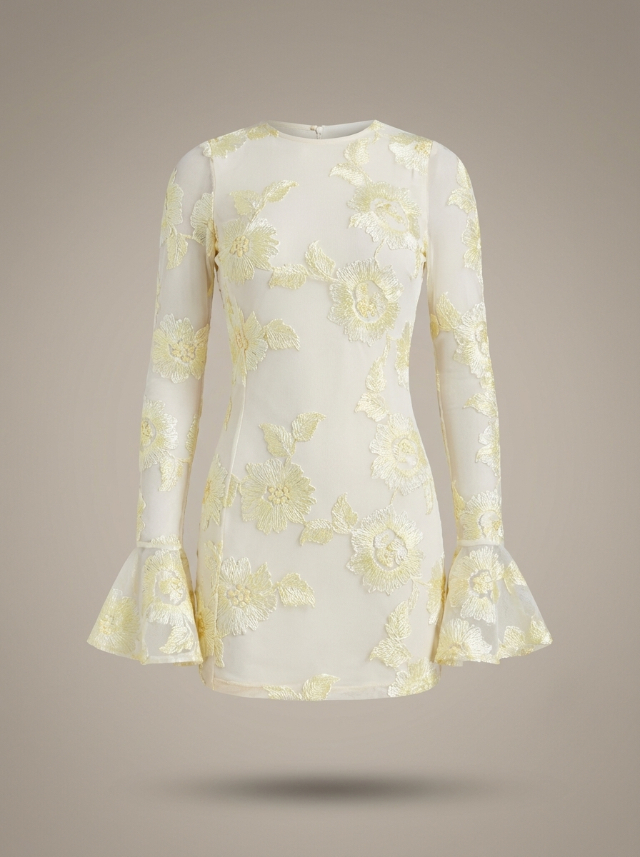 Vivienne | Embroidered Mesh Sleeve Mini Dress